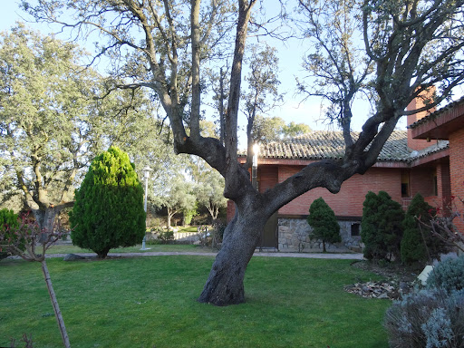 Foto del negocio