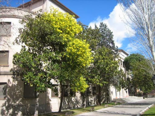 Foto del negocio