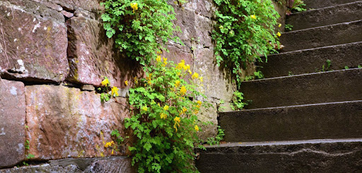 EA Psicólogos, Calle Madrazo — SALUD en Madrid