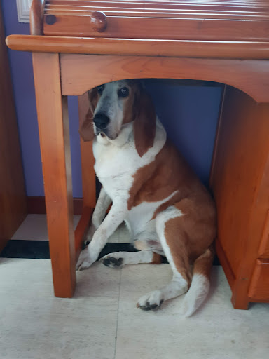 Foto del negocio