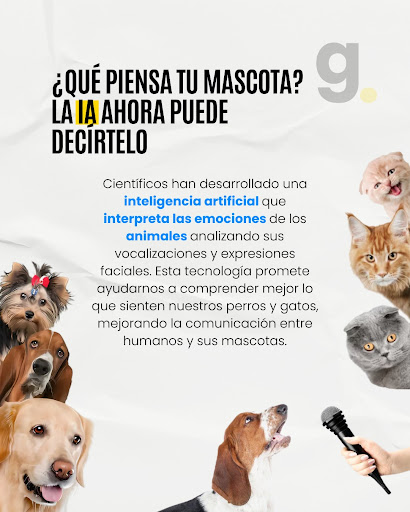 Foto del negocio