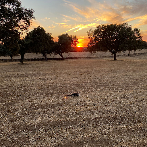 Foto del negocio