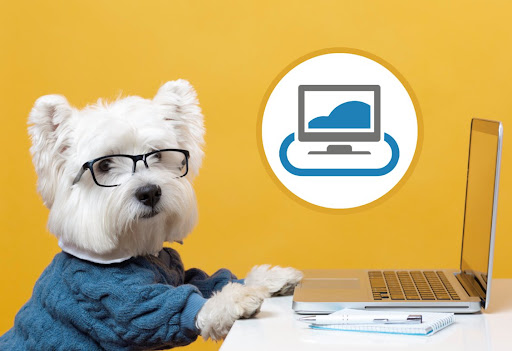 Programador Web Freelance Madrid — TECNOLOGIA en Madrid