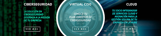 Rogarnfels: vCISO Ciberseguridad Cloud Computing — TECNOLOGIA en Madrid